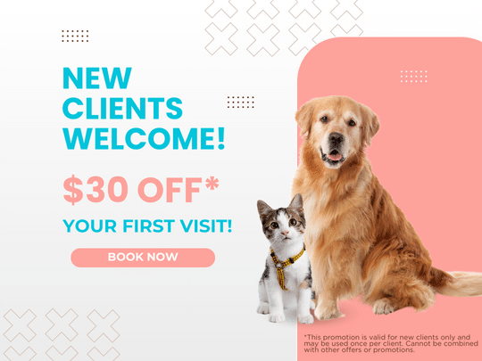 New client graphic for the promotion