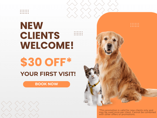 New client graphic for the promotion