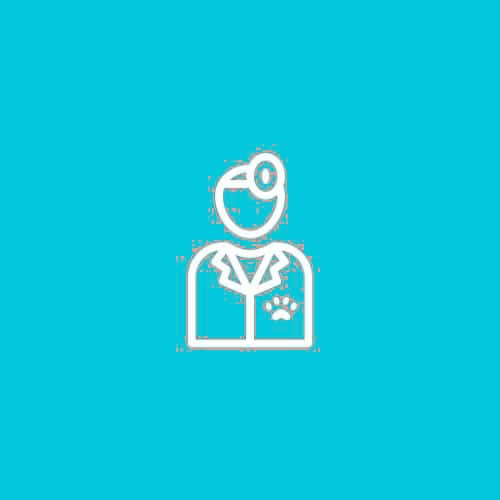 dental icon