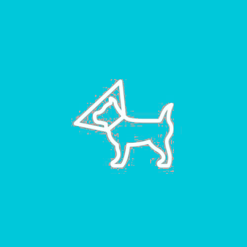 surgery icon